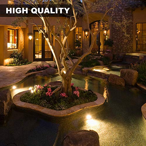 Malibu Submersible LED Pond Light