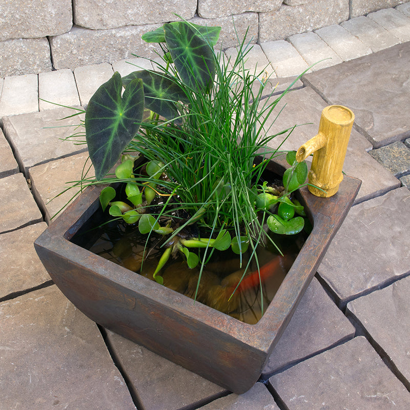 Patio Pond Kits