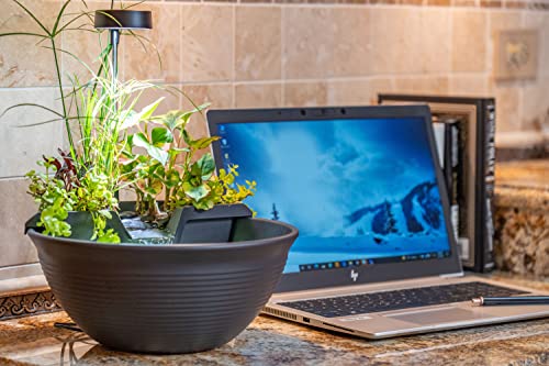 Aquascape AquaGarden Tabletop Fountain Kit (Gray)