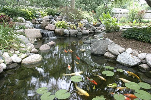 Aquascape 53037 Complete Pond Kit 21 Feet x 26 Feet | Large | 9PL - 7000 Pump