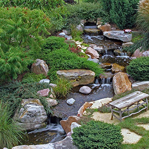 Aquascape Medium Deluxe Pondless Waterfall Kit 16-feet Stream, 53068