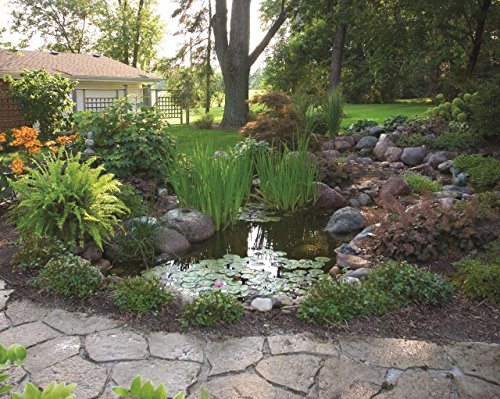 Aquascape DIY Backyard Pond Kit, 6-feet x 4-feet | 99763