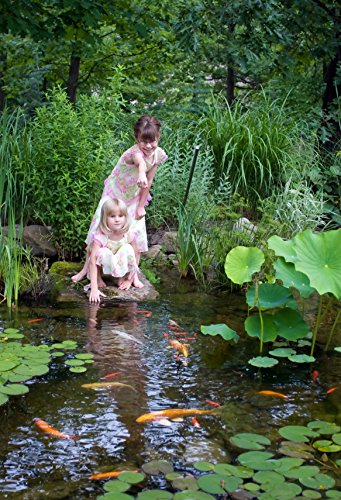 Aquascape 53037 Complete Pond Kit 21 Feet x 26 Feet | Large | 9PL - 7000 Pump