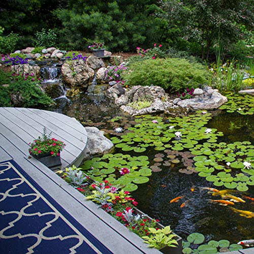 Aquascape Large Pond Kit 21 x 26 with SLD 5000-9000 Adjustable Flow Pond Pump | 53063