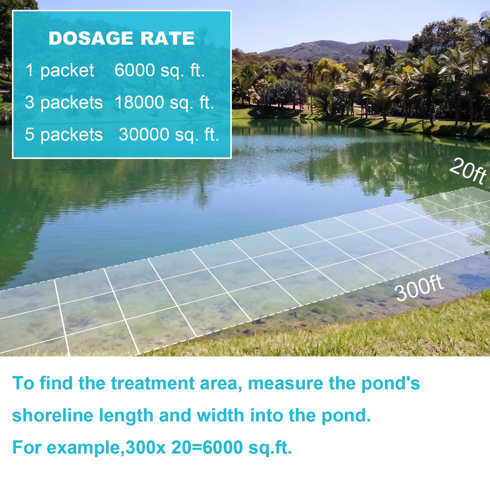 Natural Pond Sludge Remover Tablets with Beneficial Bacteria & Enzymes, Safe for Plants, Fish, Helps Break Down Muck & Reduce Odors Naturally, 2 lb