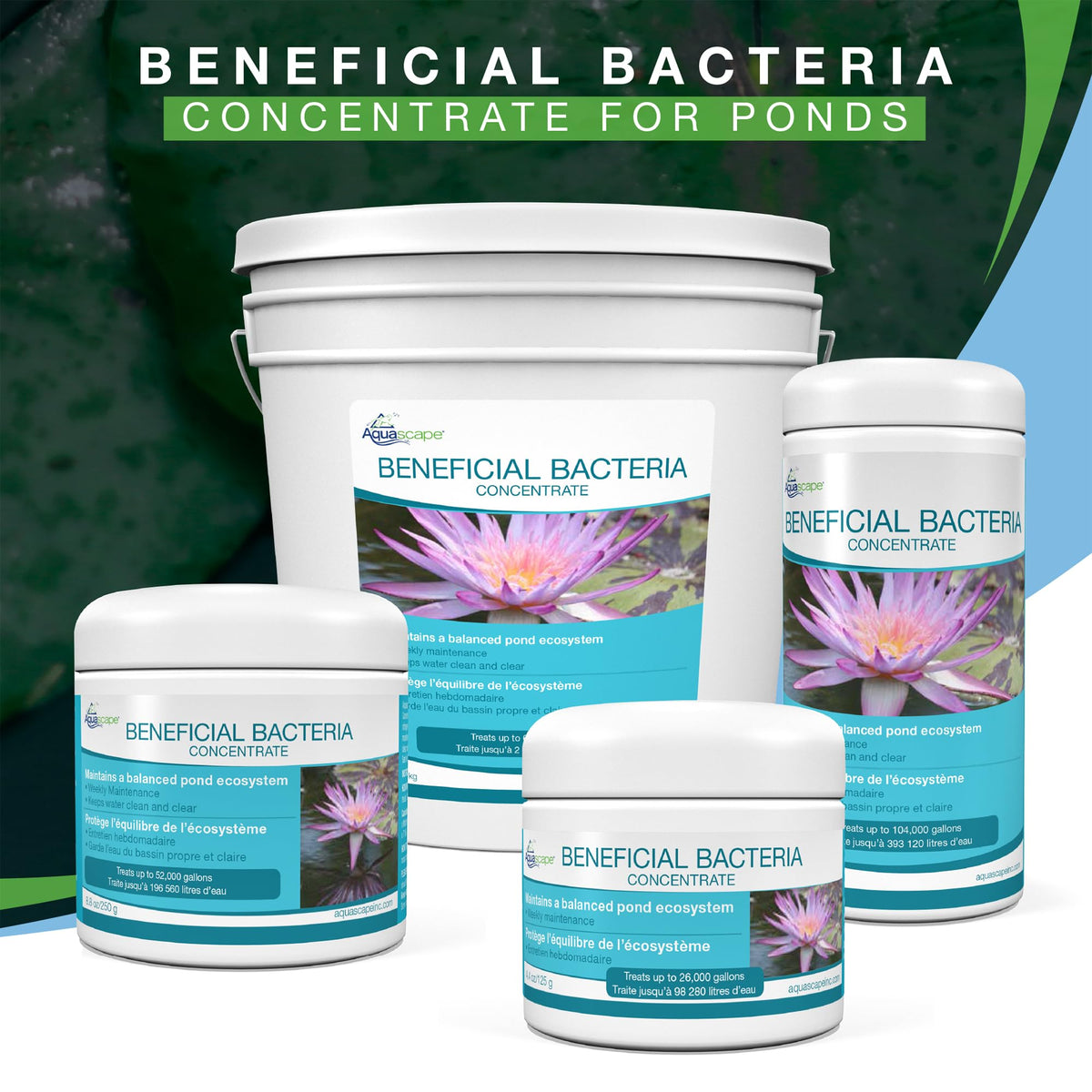 Aquascape 98950 Beneficial Bacteria Water Treatment Dry - 3.2 kg/7 lbs for Pond Water Feature Waterfall | Provides Clean, Clear and Healthy Water Conditions and Reduces Pond Maintenance
